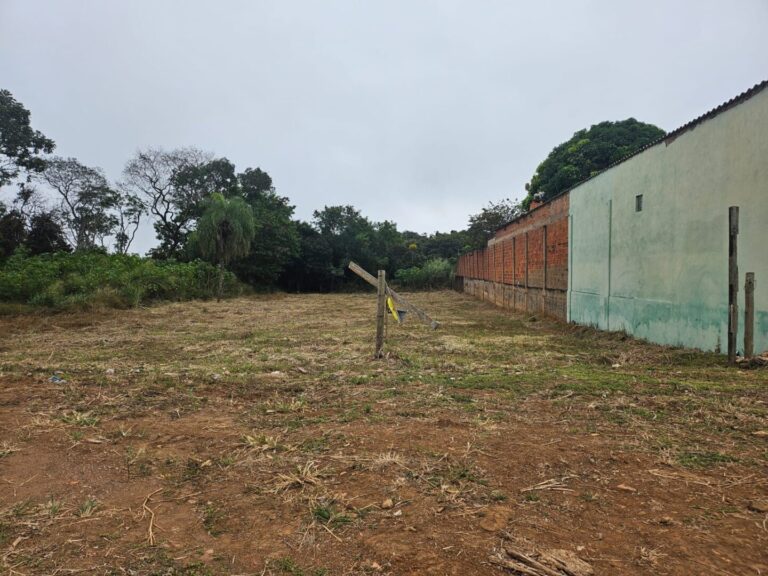 Imagem do WhatsApp de 2025-06-09 à(s) 10.05.14_a7bcb24f