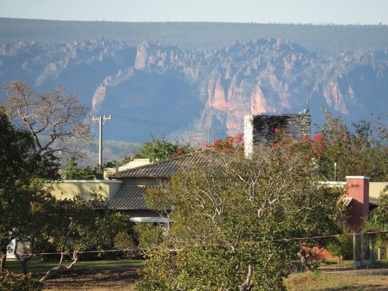 WhatsApp Image 2026-01-10 at 14.21.22 (2)