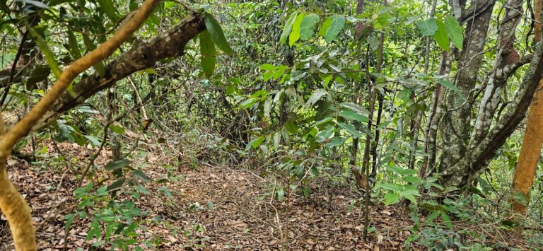 WhatsApp Image 2026-01-23 at 14.32.41