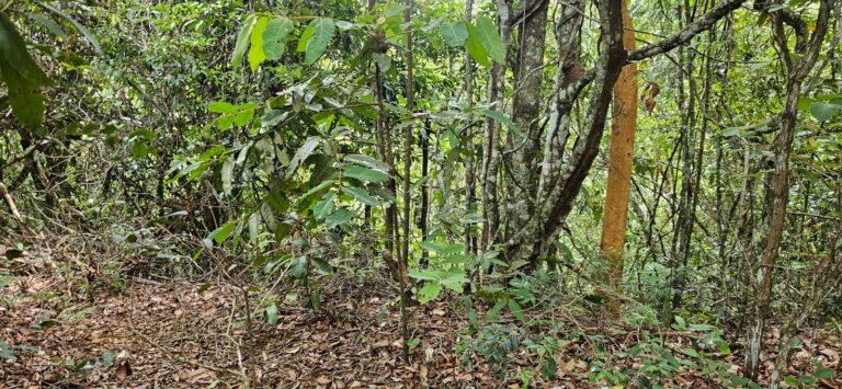 WhatsApp Image 2026-01-23 at 14.32.43 (1)