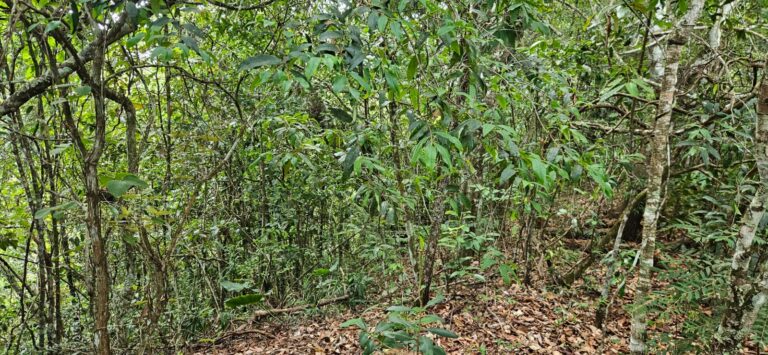 WhatsApp Image 2026-01-23 at 14.32.43