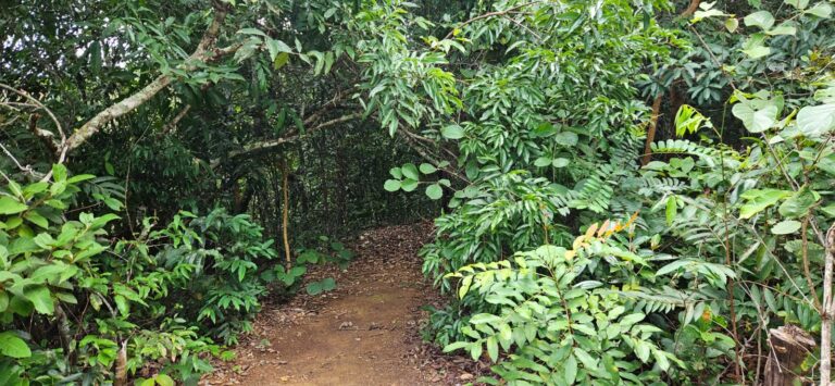 WhatsApp Image 2026-01-23 at 14.32.45 (1)