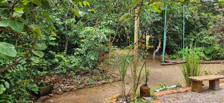 WhatsApp Image 2026-01-23 at 14.32.45