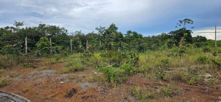 WhatsApp Image 2026-02-10 at 10.51.55