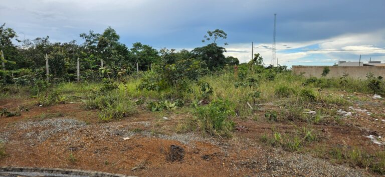 WhatsApp Image 2026-02-10 at 10.51.56 (2)