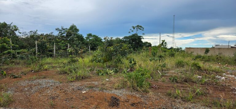 WhatsApp Image 2026-02-10 at 10.51.56