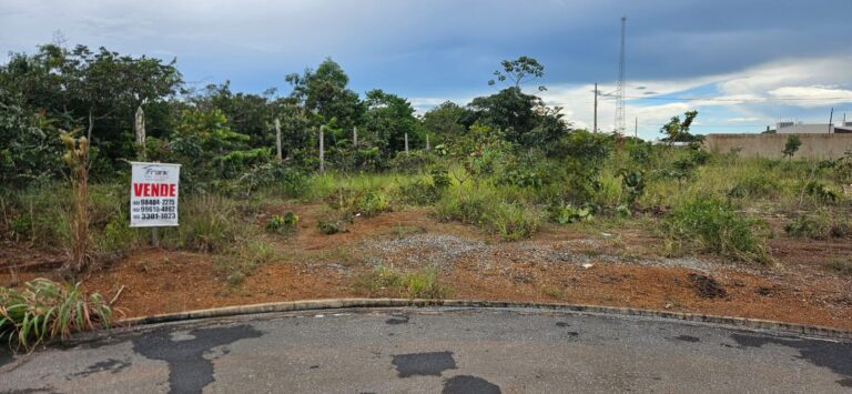 WhatsApp Image 2026-02-10 at 10.51.57 (1)