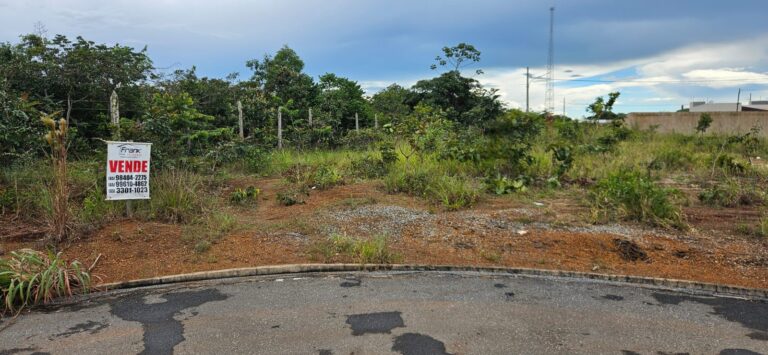 WhatsApp Image 2026-02-10 at 10.51.57