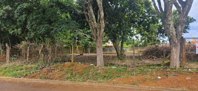 WhatsApp Image 2026-02-10 at 11.11.19 (1)