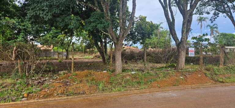 WhatsApp Image 2026-02-10 at 11.11.19