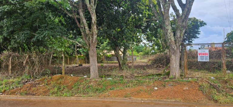 WhatsApp Image 2026-02-10 at 11.11.20 (2)