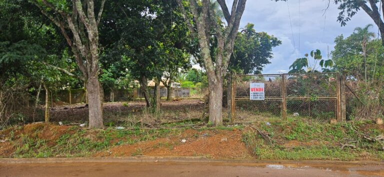 WhatsApp Image 2026-02-10 at 11.11.21