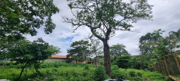 WhatsApp Image 2026-02-18 at 10.53.07 (1)