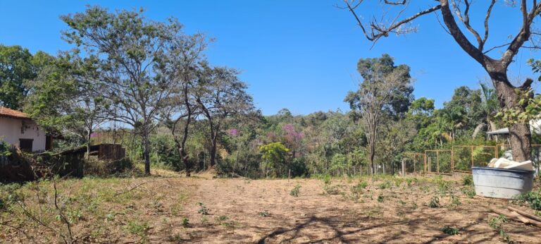 WhatsApp Image 2026-02-18 at 10.53.07