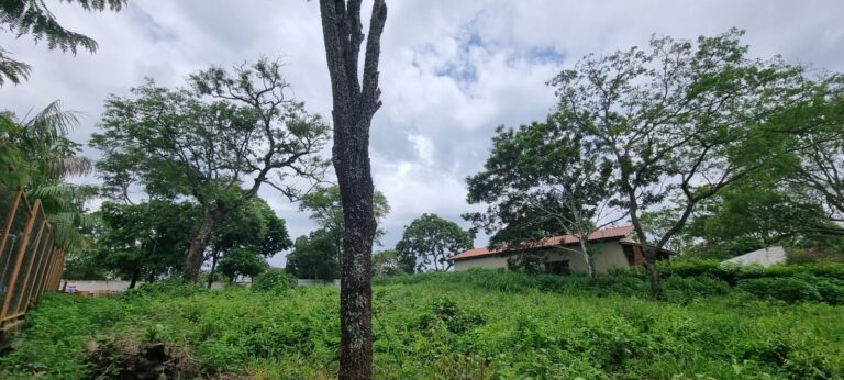 WhatsApp Image 2026-02-18 at 10.53.08 (1)