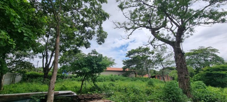 WhatsApp Image 2026-02-18 at 10.53.09 (1)