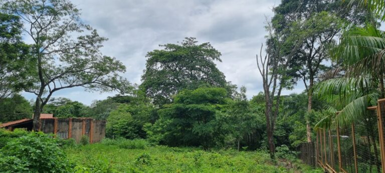 WhatsApp Image 2026-02-18 at 10.53.09