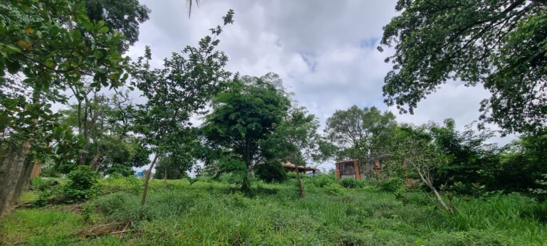 WhatsApp Image 2026-02-18 at 10.53.10 (1)