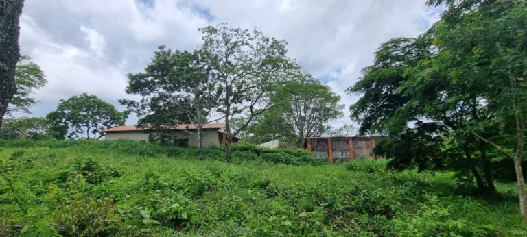 WhatsApp Image 2026-02-18 at 10.53.10