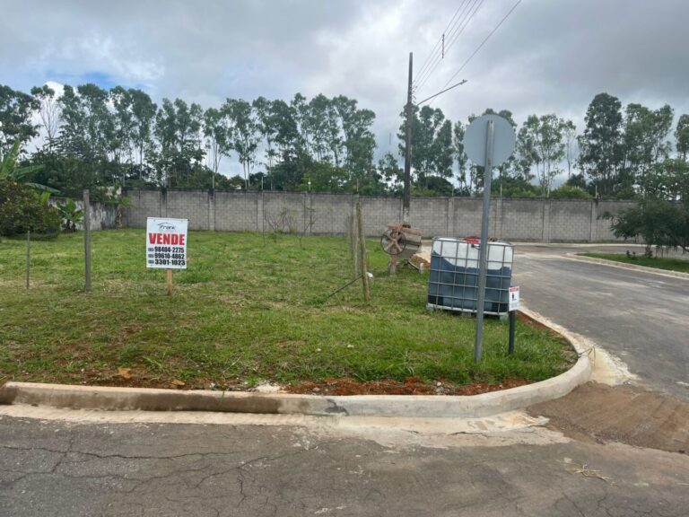 WhatsApp Image 2026-02-19 at 15.57.53