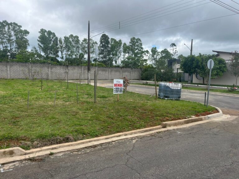 WhatsApp Image 2026-02-19 at 15.57.54 (1)