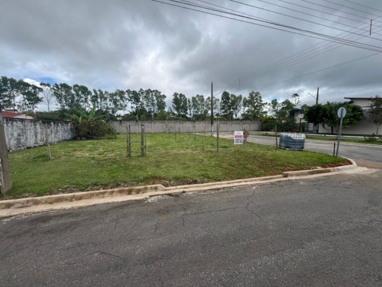 WhatsApp Image 2026-02-19 at 15.57.54