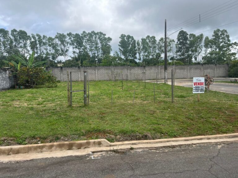 WhatsApp Image 2026-02-19 at 15.57.55