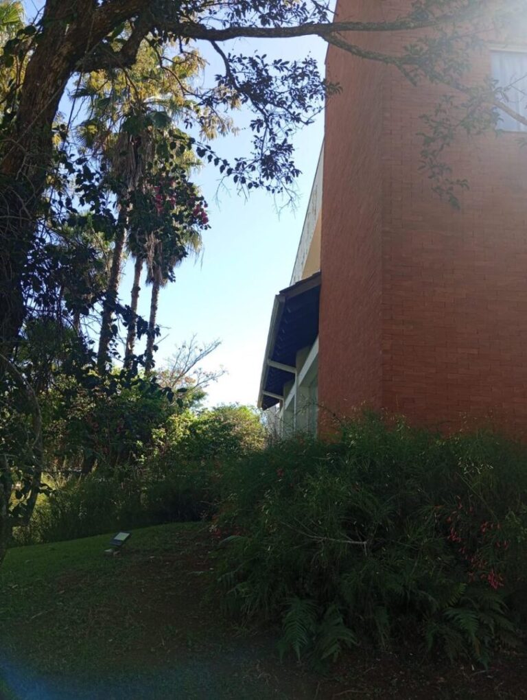 WhatsApp Image 2026-03-20 at 13.35.51 (1)