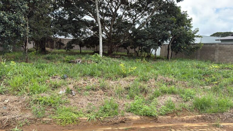 WhatsApp Image 2026-04-23 at 15.42.27