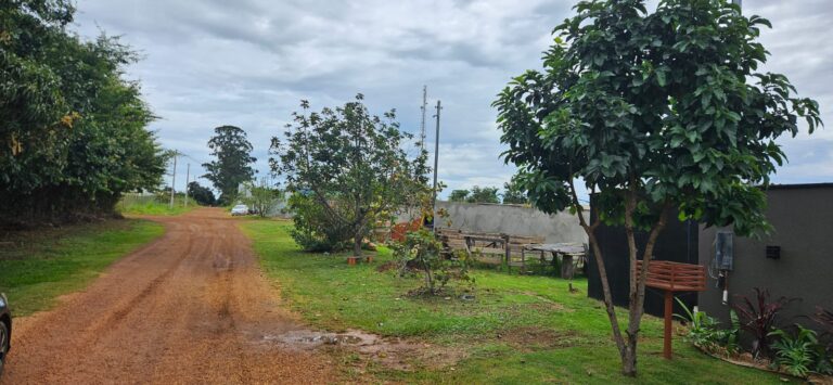 WhatsApp Image 2026-04-27 at 11.31.42