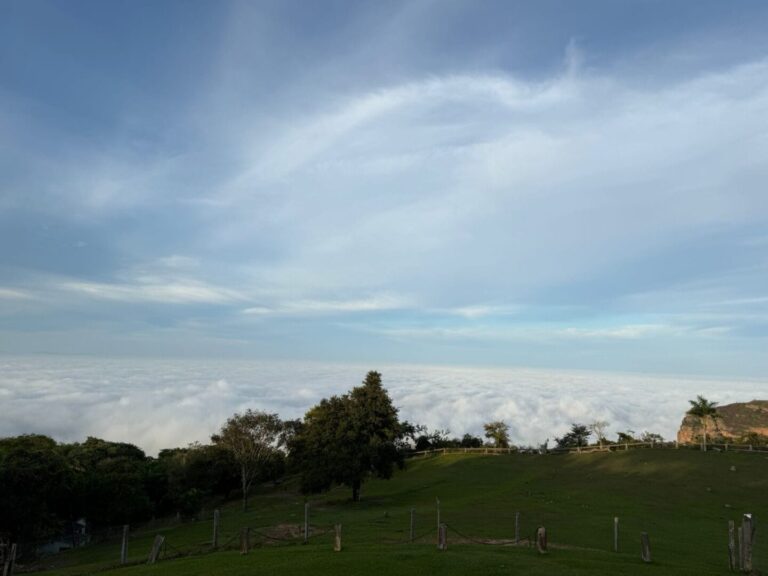 WhatsApp Image 2026-05-09 at 15.20.23