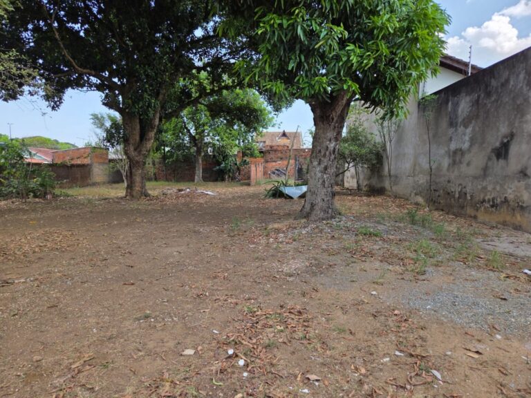 WhatsApp Image 2026-09-03 at 15.42.37 (2)